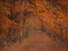 Autumn Path - 60Hx80W - CC  