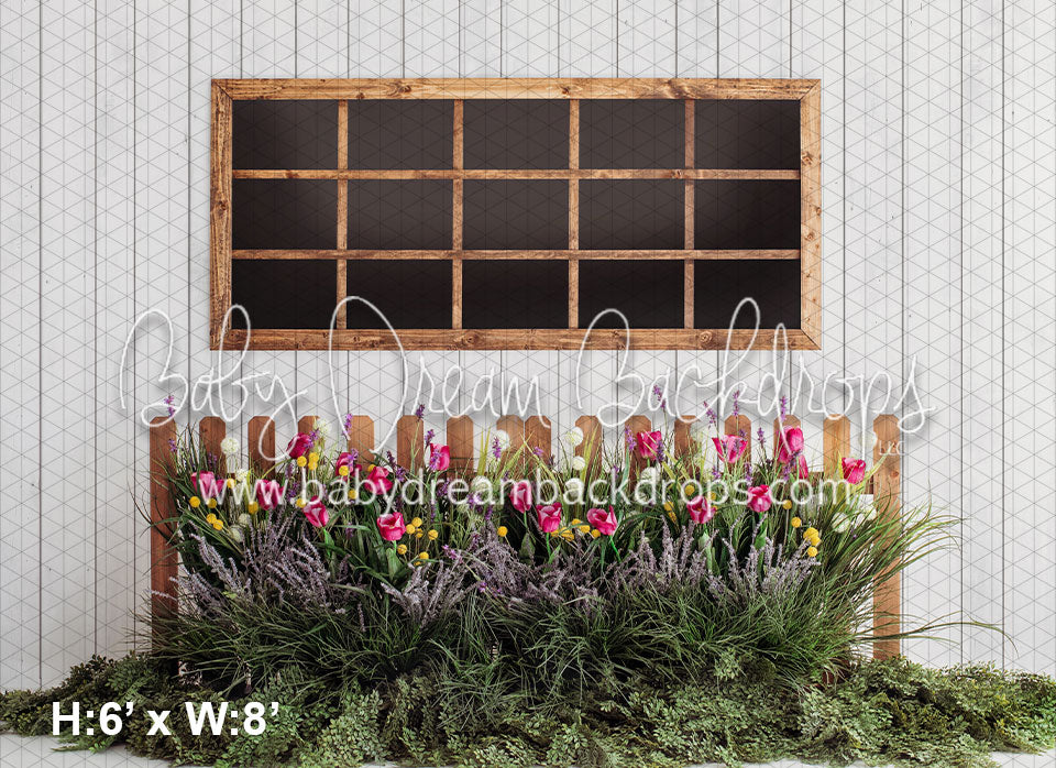 Blue me Window Spring