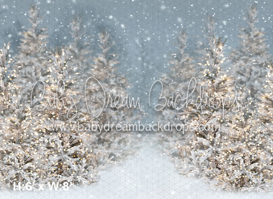 Christmas Trees in Snow with Lights (VR)