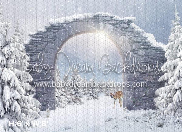 Snowy Dream (BD)