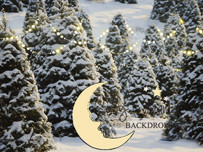 Snowy Twinkle Farm - 6x8ft - BD  