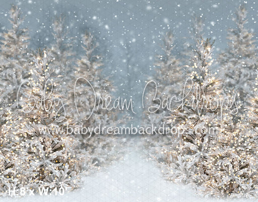 Christmas Trees in Snow with Lights (VR)