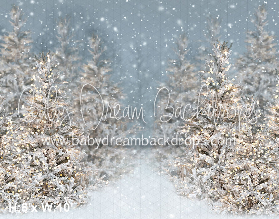 Christmas Trees in Snow with Lights (VR)