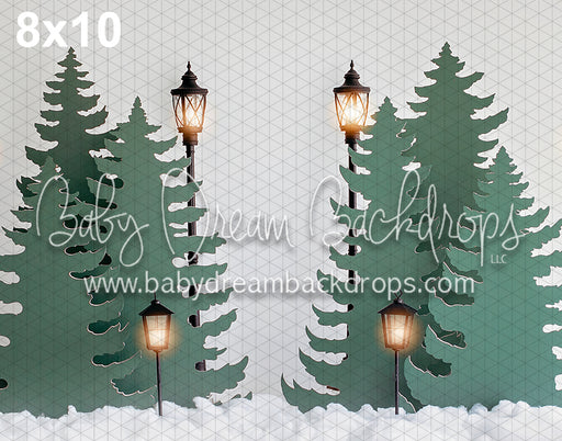 Into a Christmas Forest