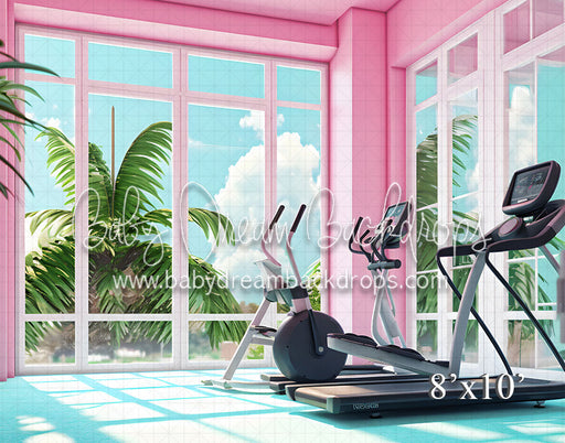 Malibu Gym Room 2 (VR)