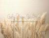 Pampas Grass 2 (VR)