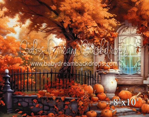 Rome Fall Courtyard (VR)