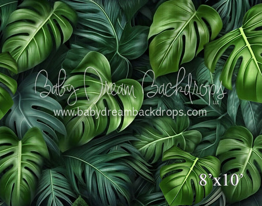 Tropical Plants (VR)