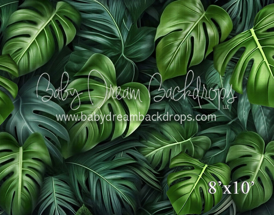 Tropical Plants (VR)