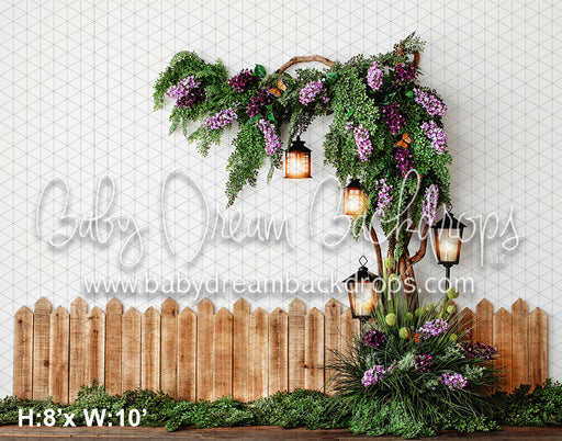 Wisteria Love (VR)