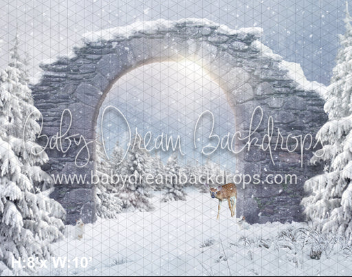Snowy Dream (BD)
