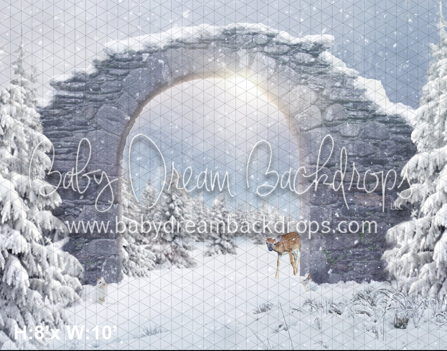 Snowy Dream (BD)