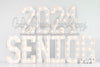 2024 Senior (VR) 