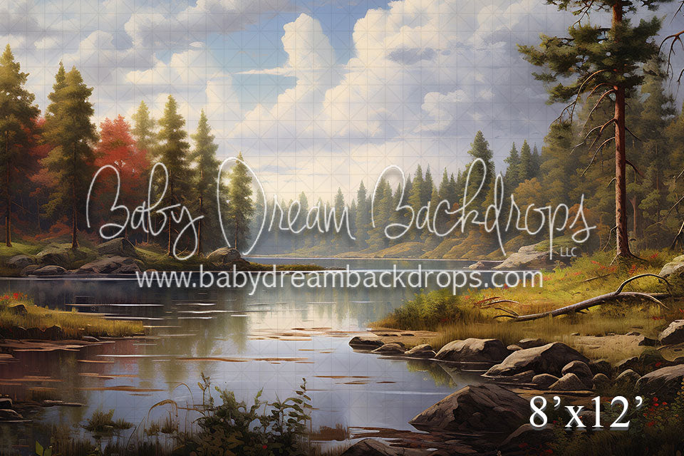 Colorado Forest (VR)