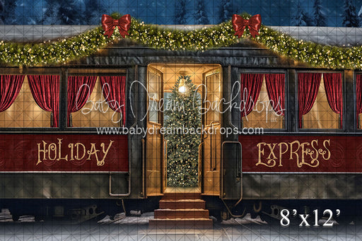 Holiday Express Train (VR)