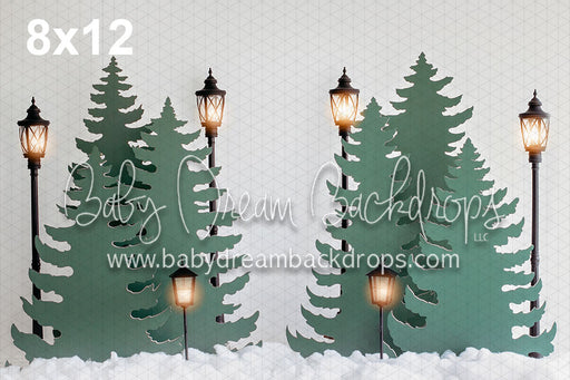 Into a Christmas Forest