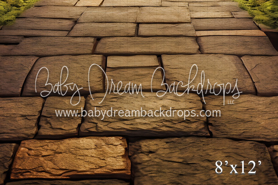 Mushroom Forest Floor  (VR)