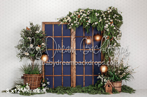 Windows Under The Arch