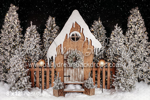 Fairy Christmas at Night