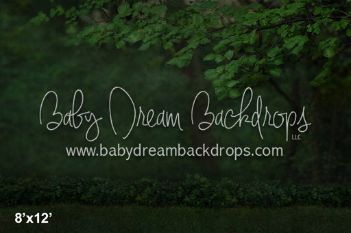 Forested Fairytale (AD)