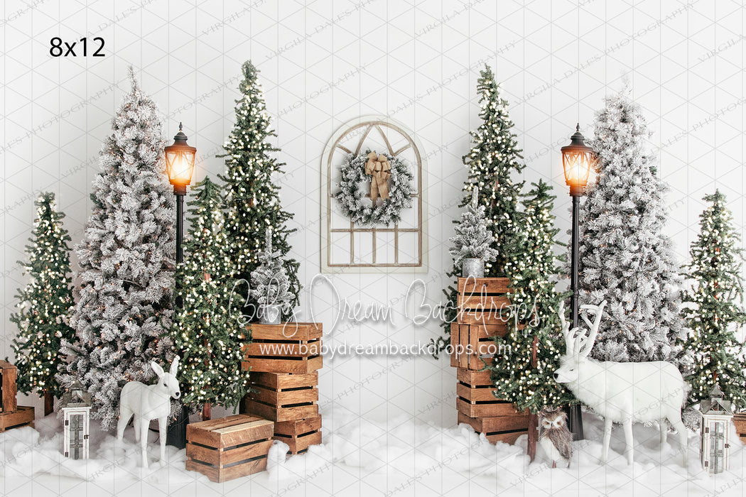 Winter Blunder Lights