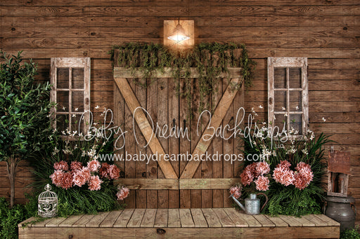 Spring Cabin