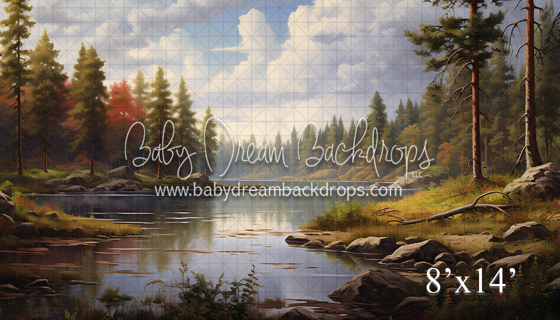 Colorado Forest (VR)