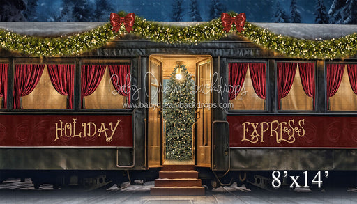 Holiday Express Train (VR)