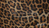 Leopard Brick (VR)