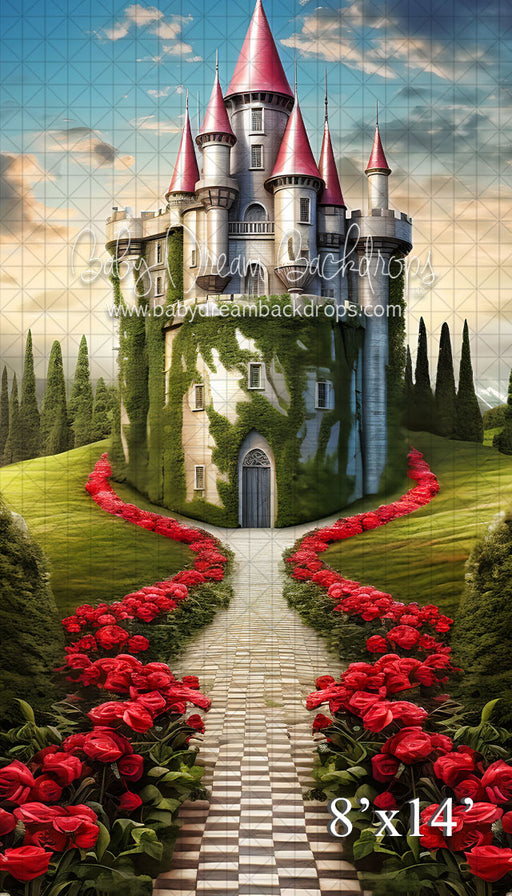 Red Castle Sweep  (VR)