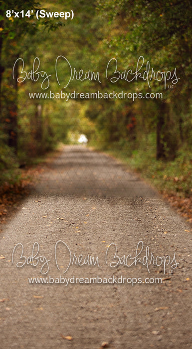 Sweeps Kibler Back Road (VR)