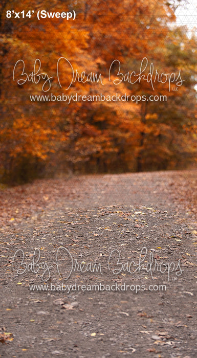 Sweeps Path to the Lake (VR)