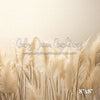 Pampas Grass 2 (VR)