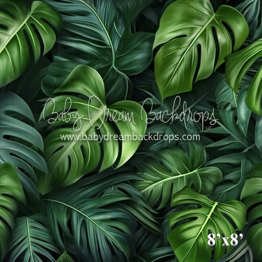 Tropical Plants (VR)