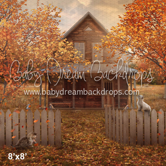 Falling Leaves (BD)