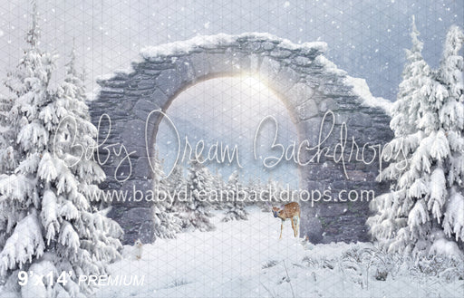 Snowy Dream (BD)