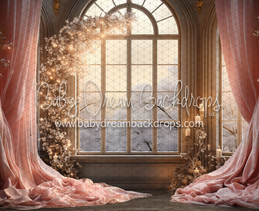 A Princess for Christmas Window (JA)