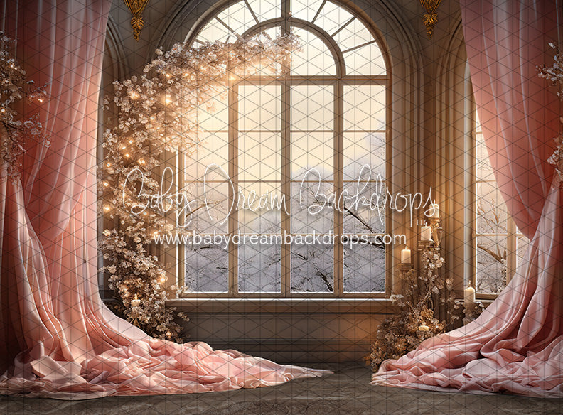 A Princess for Christmas Window (JA)