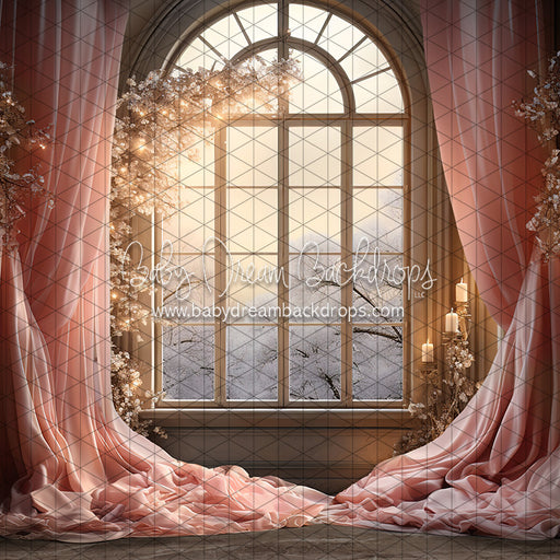 A Princess for Christmas Window (JA)