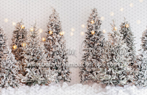 A white Christmas (VR)