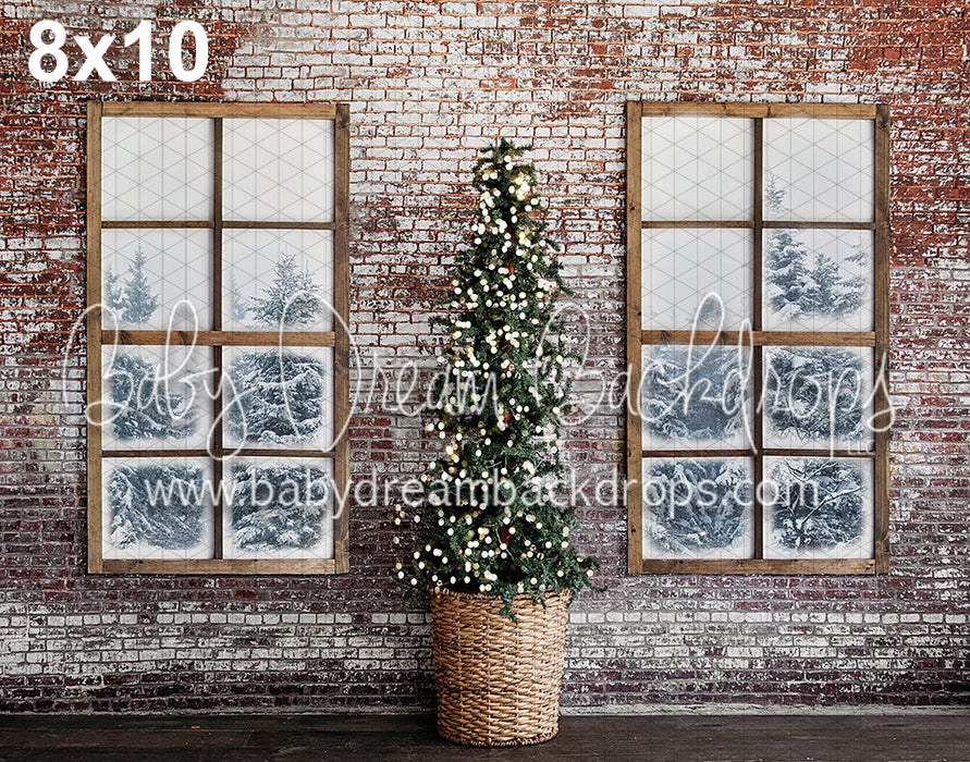 A lot like Christmas Windows