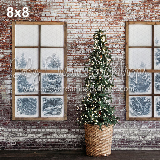 A lot like Christmas Windows