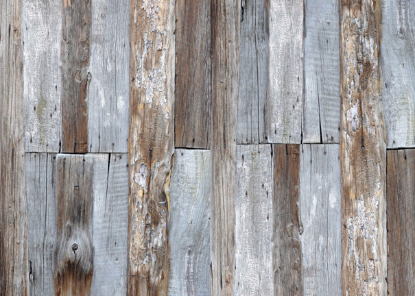 Alabama Planks Floor