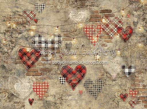 Alley Crush Lights - 60Hx80W - CC  