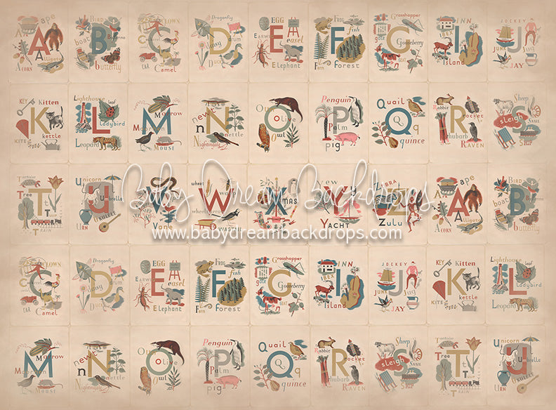 Alphabet Talk - 6x8 - CC  