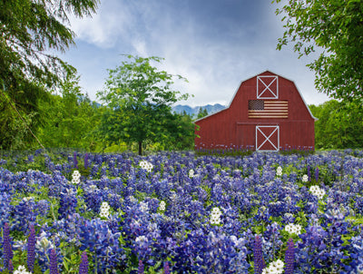 Americana Farm 60x80 Horizontal  