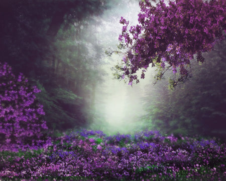 Amethyst Pine 8x10 JM 