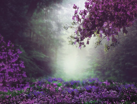 Amethyst Pine - 60x80 Horizontal  