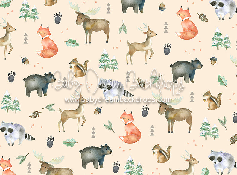 Animal House - 6x8 - CC  