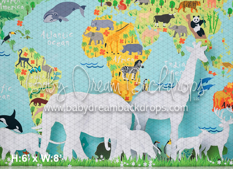 Animals of the World